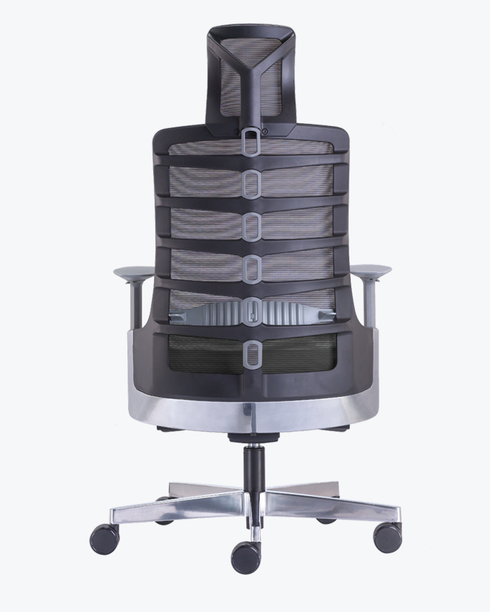 Spinelly-High-Black-Back